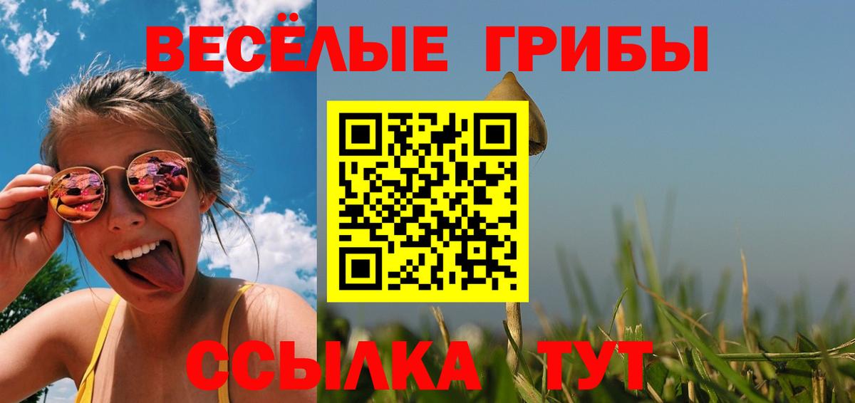 Псилоцибиновые грибы мицелий  Псилоцибиновые грибы Cubensis  Ульяновск  Вход с VPN 